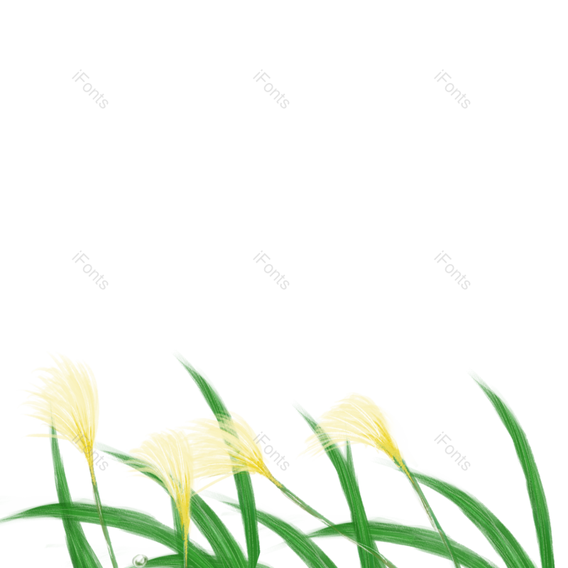 户外图片,植物插画元素,花草PNG,植物素材免抠素材